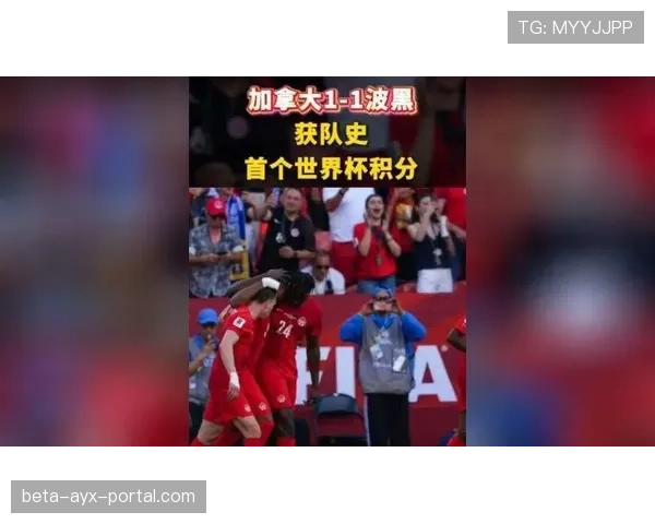 世界杯B组波黑重返世界杯舞台